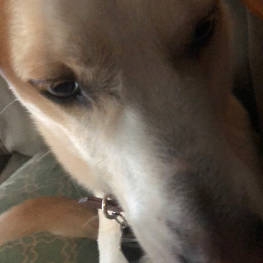 Meet your Posher, Christine